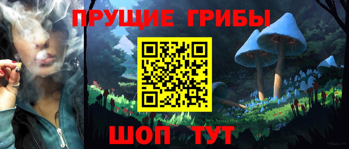 Гулькевичи  Псилоцибиновые грибы Magic Shrooms  Вход с VPN 